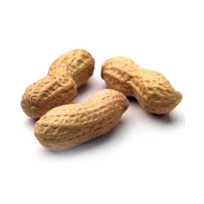 CACAU DEL COLLARET CRU (Kg)
